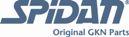 SPIDAN brand logo